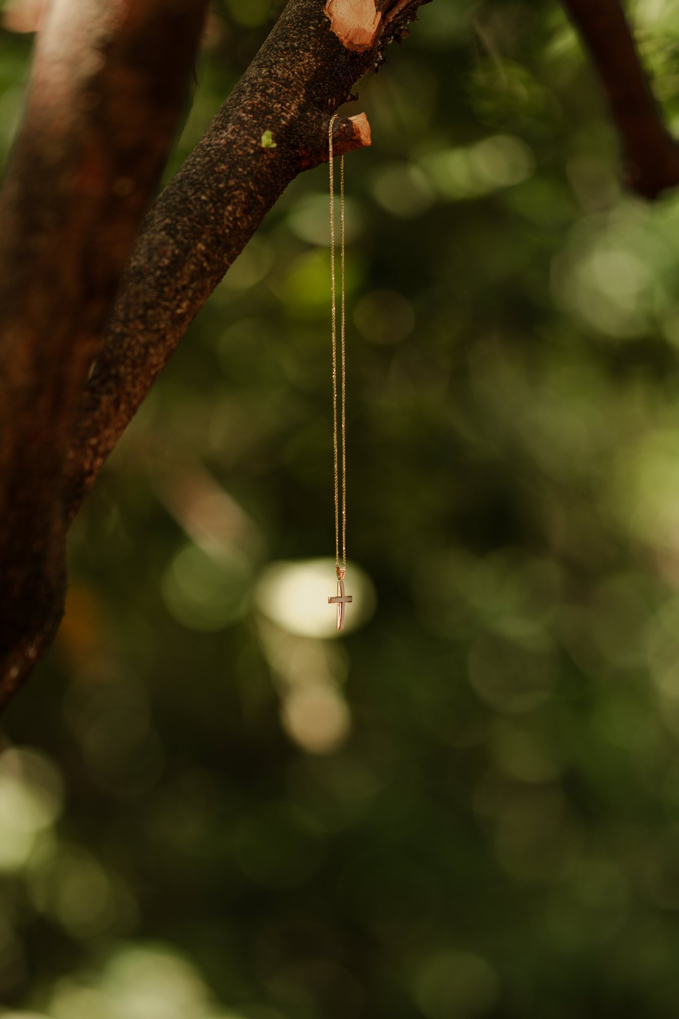A small gold cross hanging from a tree branch