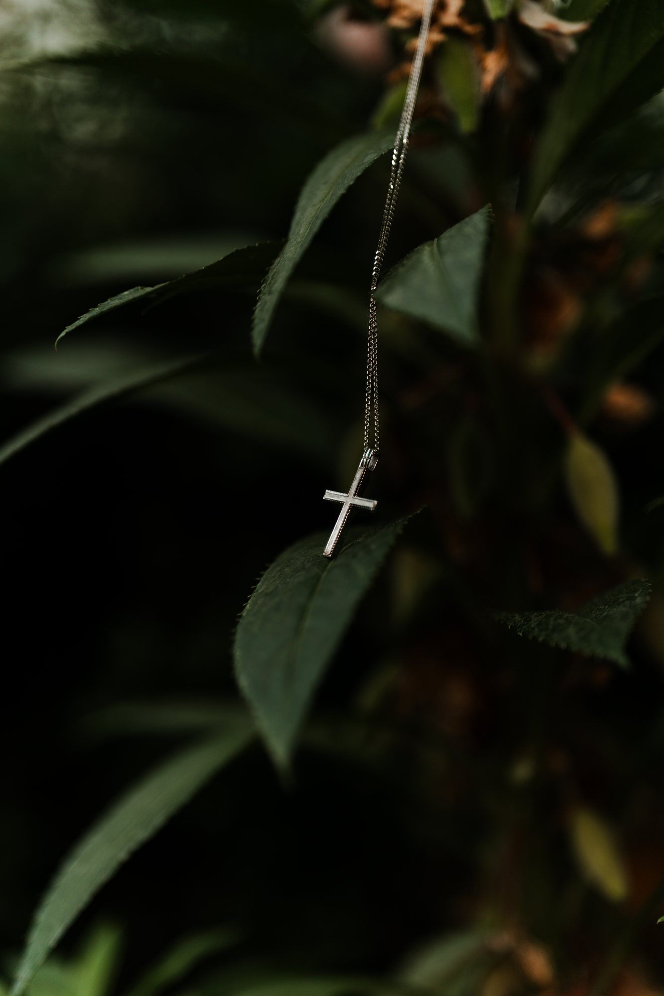 A small cross on a chain hanging among dark green leaves