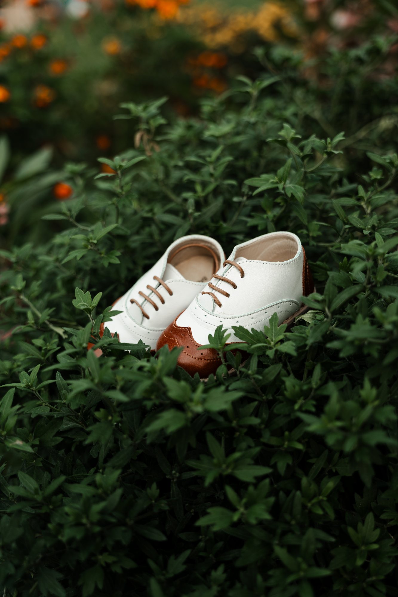 White baby shoes nestled in a green shrub
