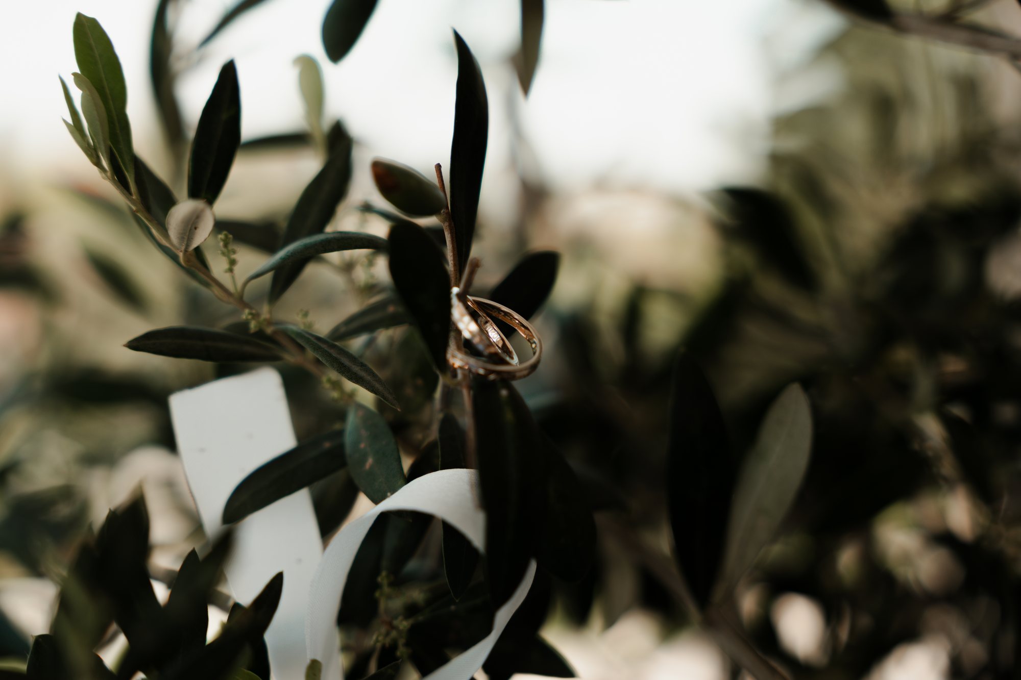 A wedding ring resting on an olive branch among white place cards